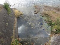 DSC02679