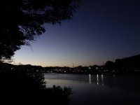 DSC02684