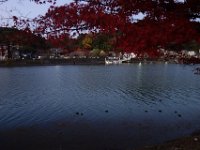 DSC02696