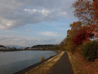DSC02806