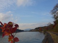 DSC02809