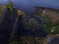 DSC02849