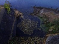DSC02861