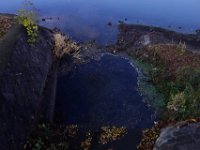 DSC02889