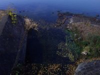 DSC02925