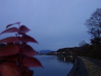 DSC02936
