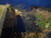 DSC02953