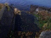 DSC03056