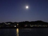 DSC03106