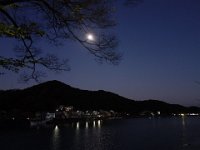 DSC03110