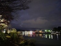 DSC03225