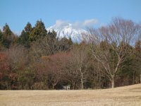 DSC03254