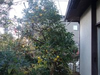 DSC03302