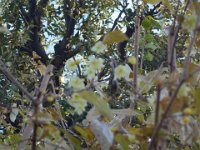 DSC03305