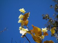 DSC03307