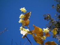 DSC03308