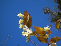 DSC03309