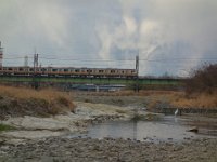 DSC03317