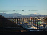 DSC03329