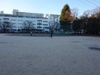 DSC03330