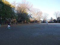 DSC03331