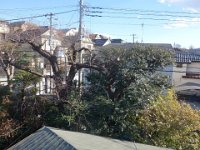 DSC03343