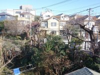 DSC03344