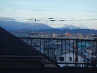 DSC03353