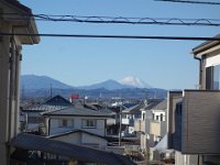 DSC03373