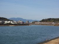 DSC03506