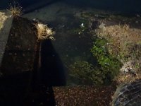 DSC03529