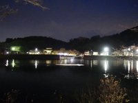DSC03534