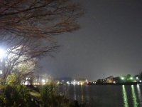 DSC03599