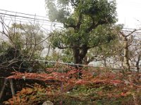DSC03628