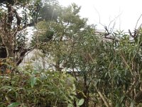 DSC03630