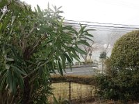 DSC03632