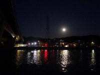 DSC03686