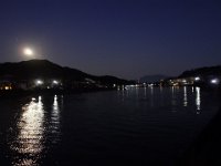 DSC03687