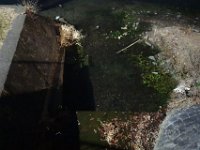 DSC03706