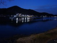 DSC03781