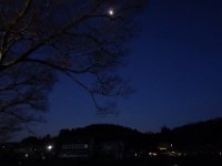 DSC03783