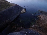 DSC03863