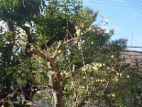 DSC03864