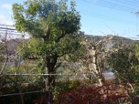 DSC03865