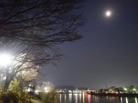 DSC03871
