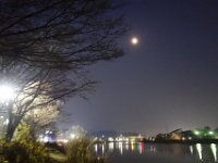 DSC03884