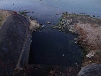 DSC04077