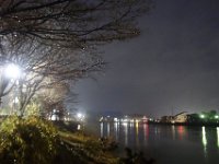 DSC04130
