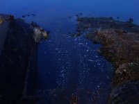 DSC04140