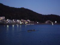 DSC04186